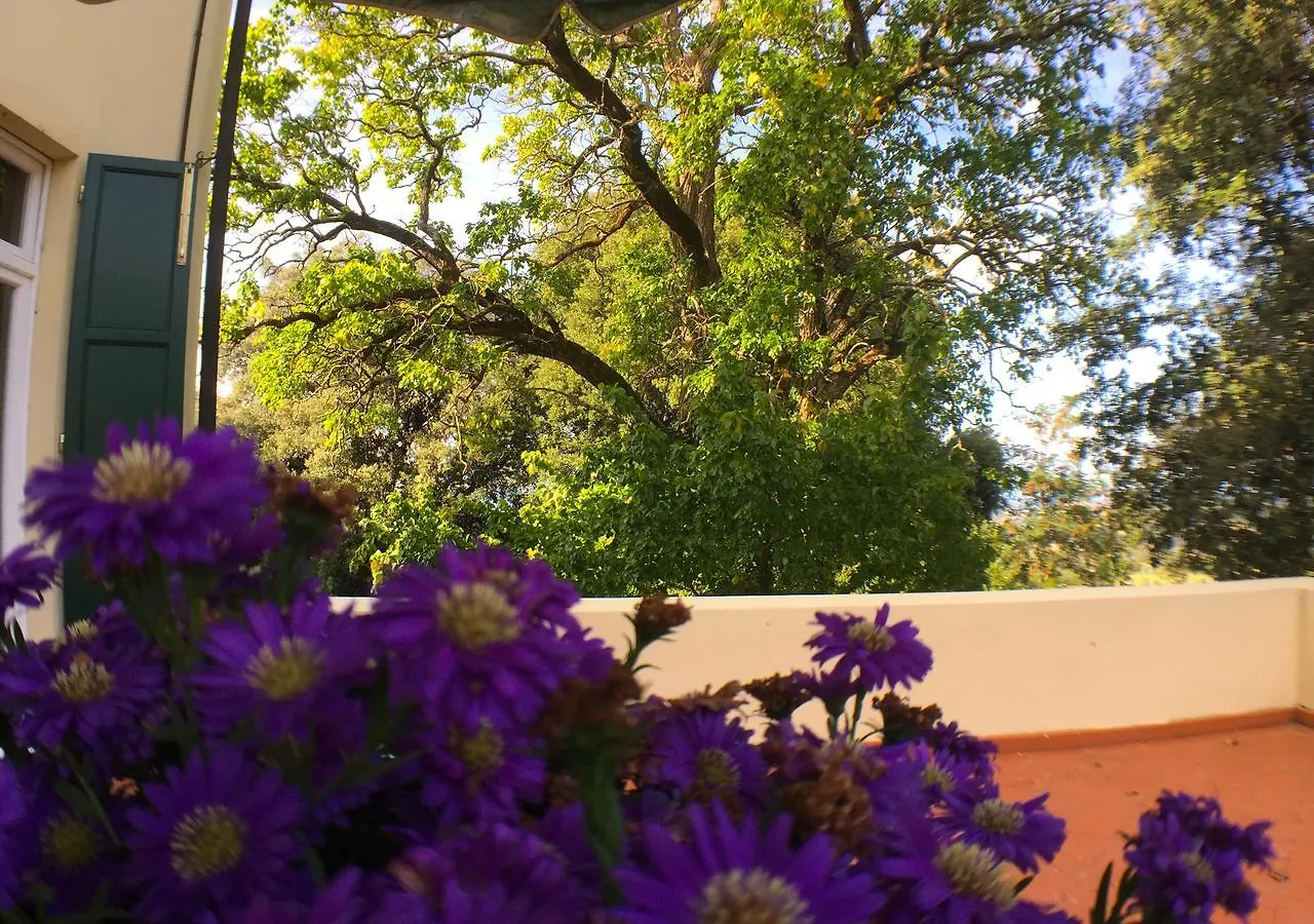 Villa Pieve De' Pitti Terricciola